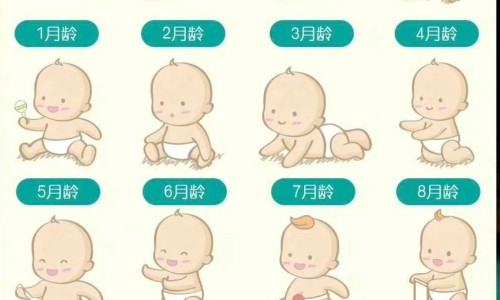 婴儿几个月会拿着玩具互敲-宝宝几个月会捏响玩具-专业几个月宝宝会抓握玩具平台-婴儿几个月会抓东西玩